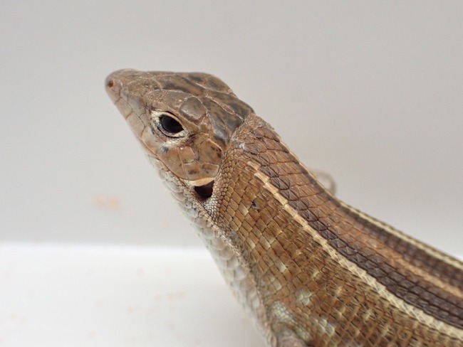 LINE_ALBUM_20240222 _1_240222_20