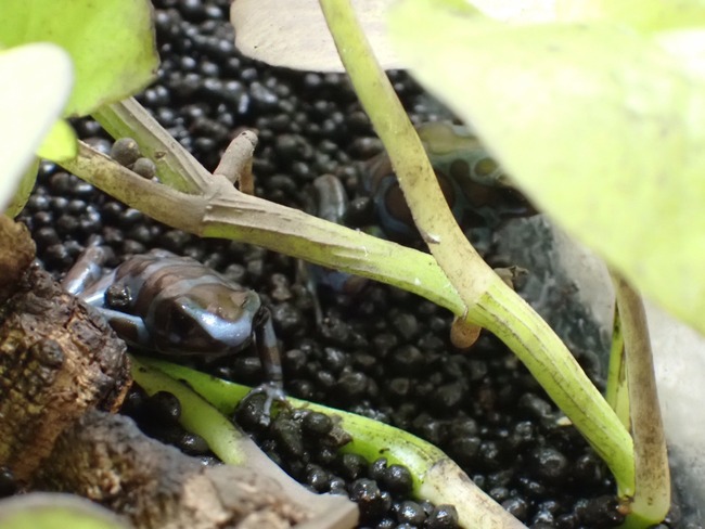 9D665999-3FF8-4727-8D74-59FF1BC9B469