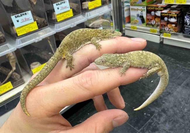 FullSizeRender