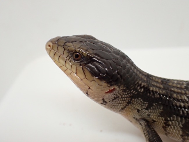 LINE_ALBUM_20240408 _1_240409_40