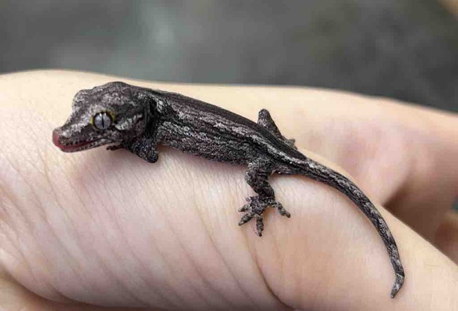 A9AD3430-CE22-4669-BDCE-E5AA99643A51