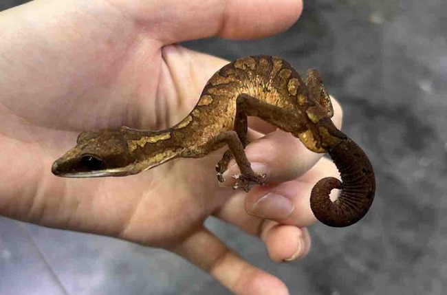 33B210A6-B652-47C1-A3BF-C683A5220000