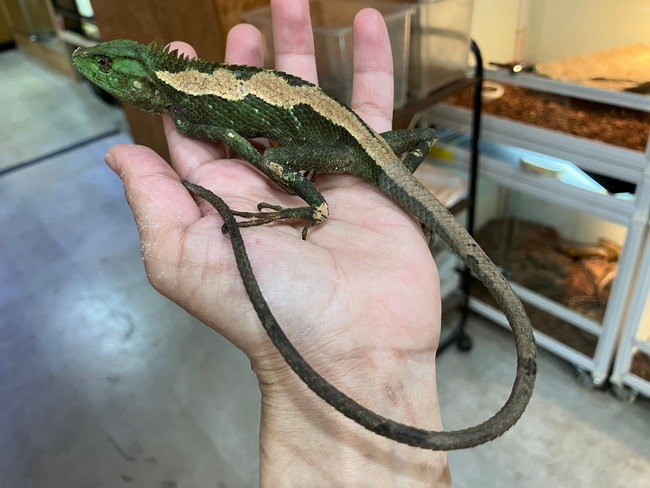 LINE_ALBUM_20240422_240422_5