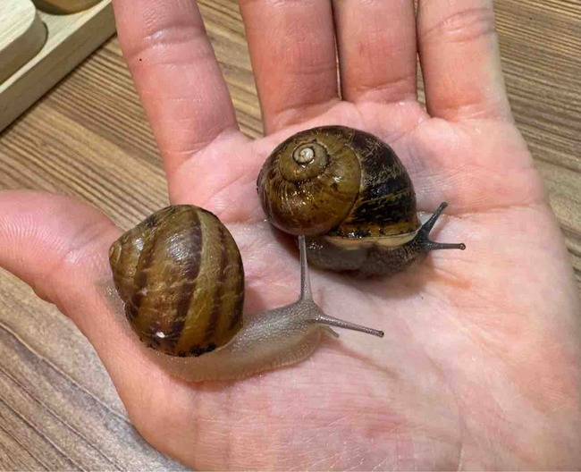 FullSizeRender