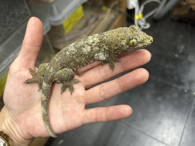 8E050E1B-642E-4CF4-BC2B-C1FC63111B24