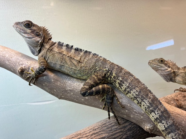 LINE_ALBUM_20240422_240422_10