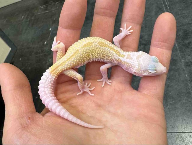 FullSizeRender