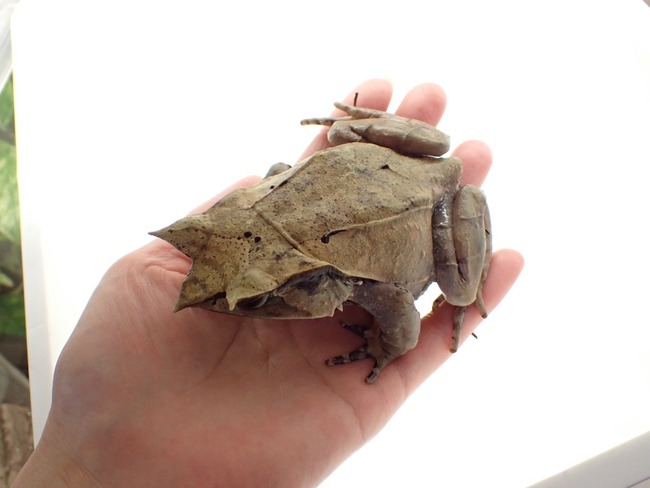 F2E065BB-5B7E-42FE-B8CB-5B691D08FD41