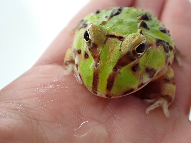 381475F6-7B5C-4DF5-AFE7-ABEFB1BCA286