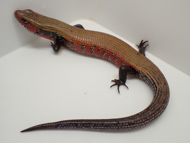 LINE_ALBUM_20241119_241121_13