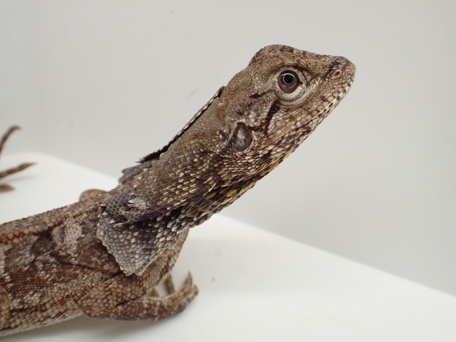 LINE_ALBUM_20241119_241121_22