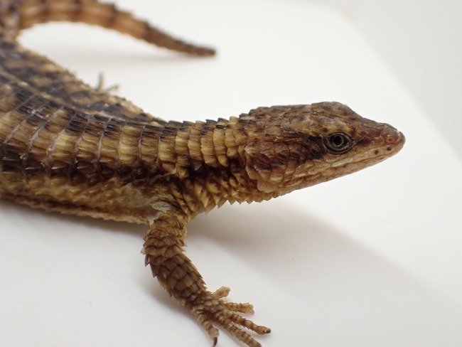 LINE_ALBUM_20241113_241114_27