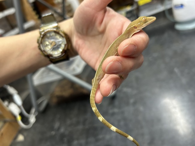 1F9344C6-574E-41EE-B494-CA75A9B182A8