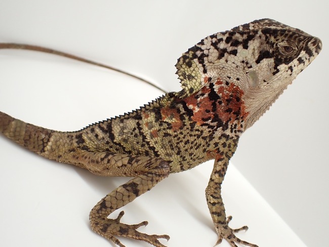 LINE_ALBUM_20240222 _1_240222_59