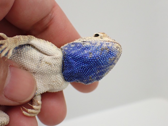 LINE_ALBUM_20240418_240422_46