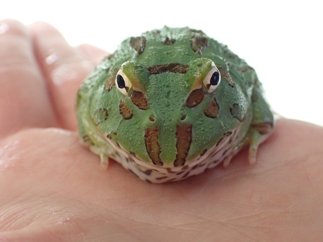 01F2449F-A071-4EA1-933B-EC75AF31E0B4