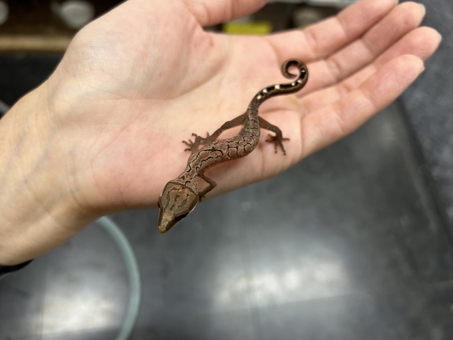 E3DF62FA-D66B-4ADB-8BFB-DB31235C8104