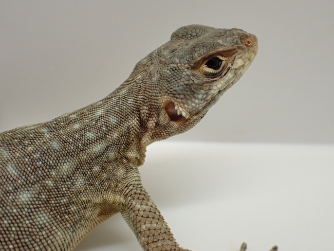 LINE_ALBUM_20240222 _1_240222_6