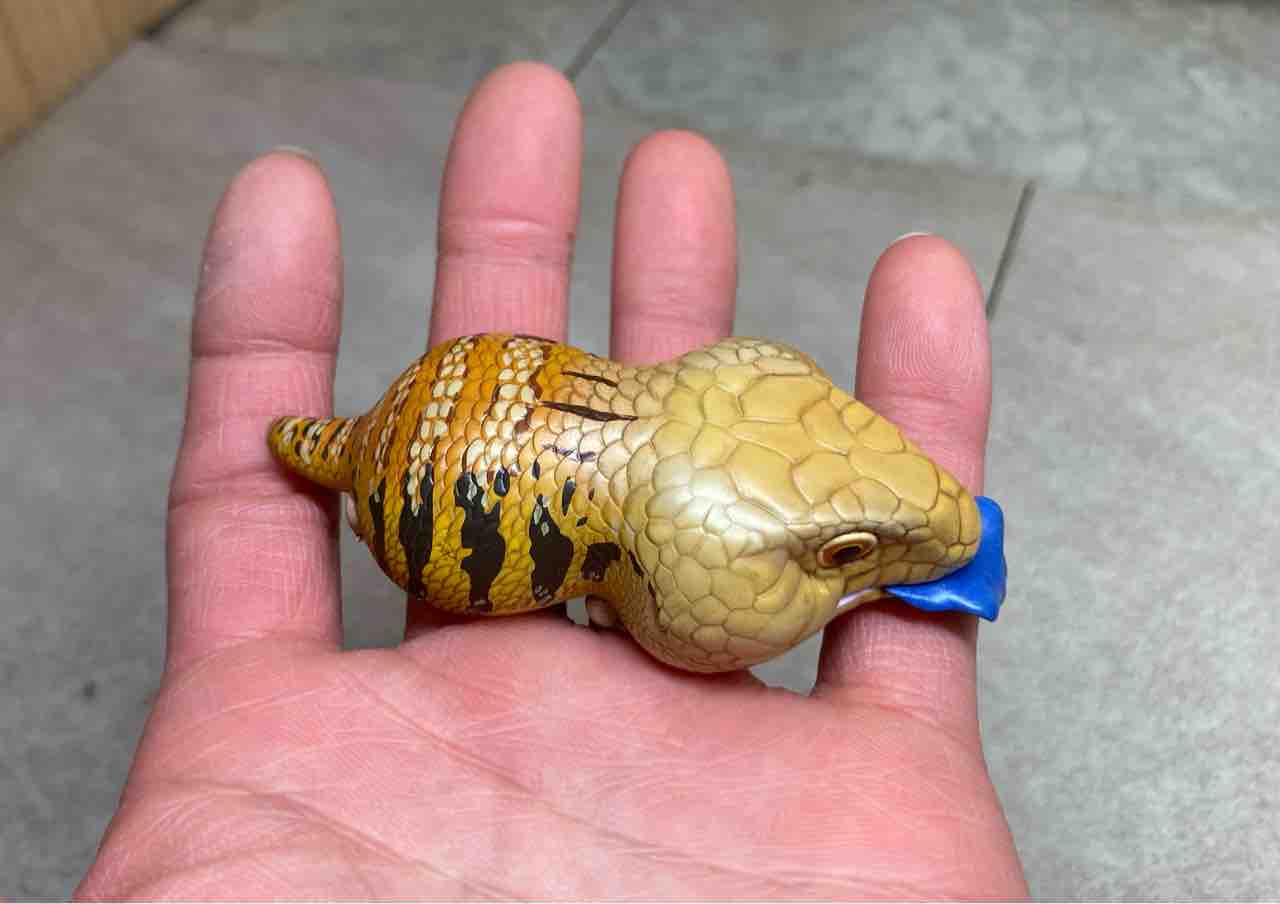 動物の惑星はじめました！ : 爬虫類倶楽部大宮店公式ブログ