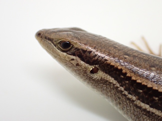 LINE_ALBUM_20240222 _1_240222_27