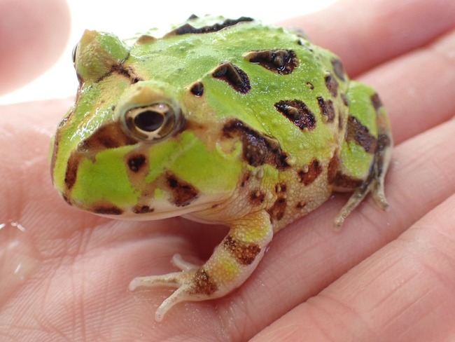 C74D9E67-BDFF-48B9-88ED-C3D1822B58C7