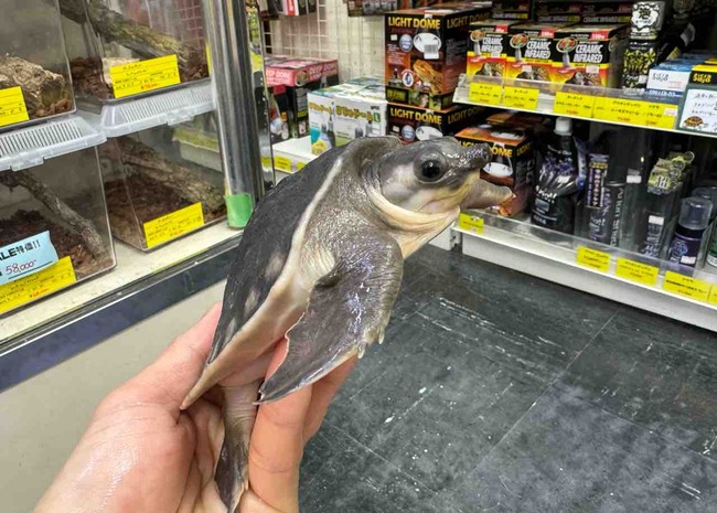 FullSizeRender
