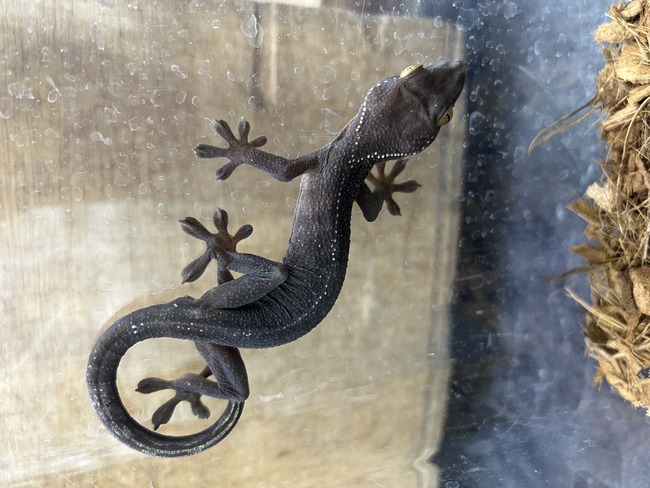 4B56B59F-E1D3-43E1-B2F3-ED99FC43DAD9