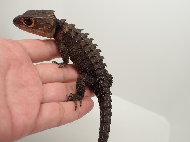 LINE_ALBUM_20241119_241121_37