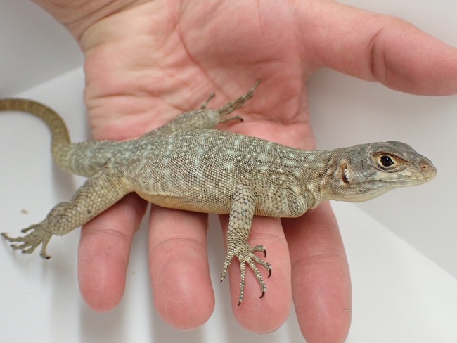 LINE_ALBUM_20240222 _1_240222_11