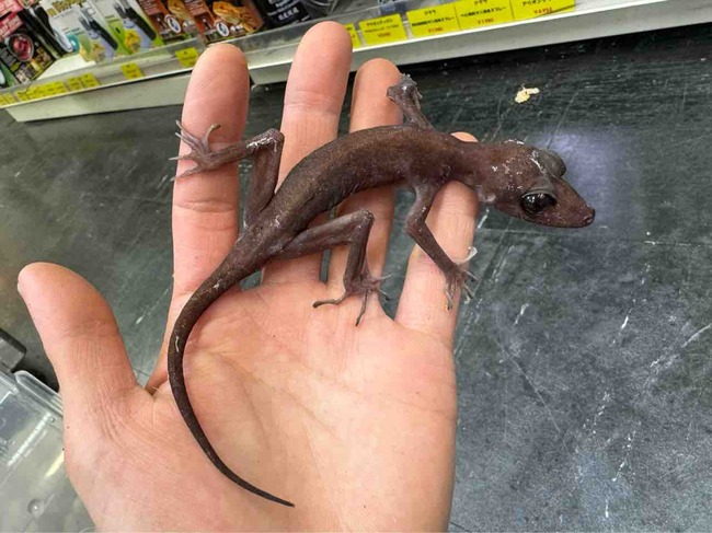 FullSizeRender