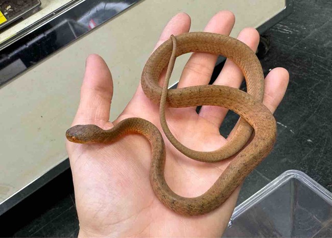 FullSizeRender
