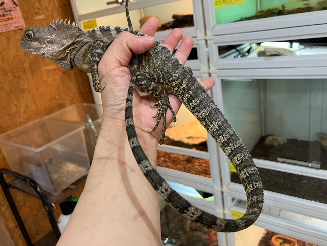 LINE_ALBUM_20240422_240422_9