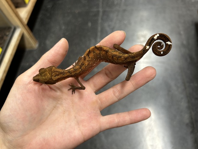 9557324D-E311-498A-A3CD-1D079F2756EF