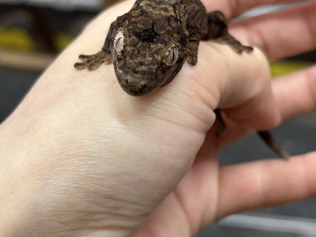 7CCA84C4-01C8-43F4-8B3E-B4C6025EF9C0