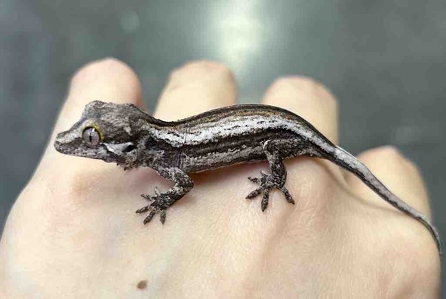 B5AD5D61-FC36-4406-BACC-B93C1C9E6F25