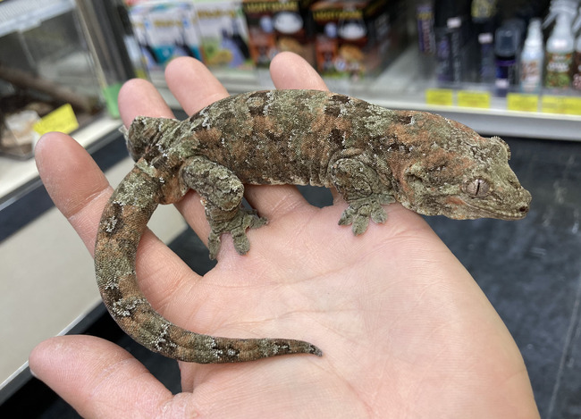 0A671F54-1AE3-49A0-9B17-4470CA5C8B02