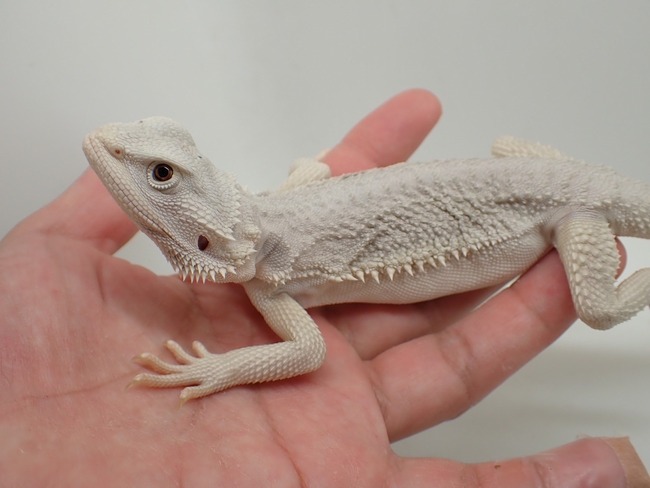 LINE_ALBUM_20240411_240412_2