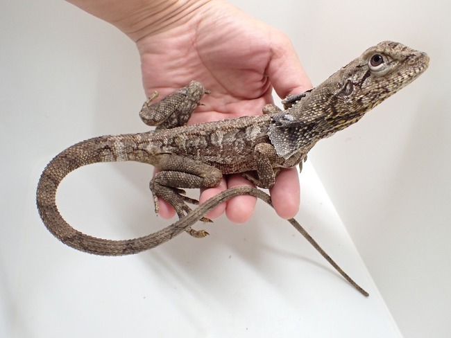 LINE_ALBUM_20241119_241121_21