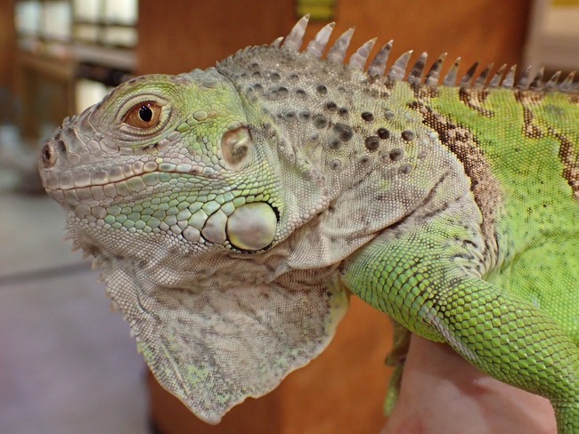 LINE_ALBUM_20240222 _1_240222_48