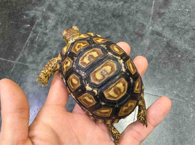 FullSizeRender