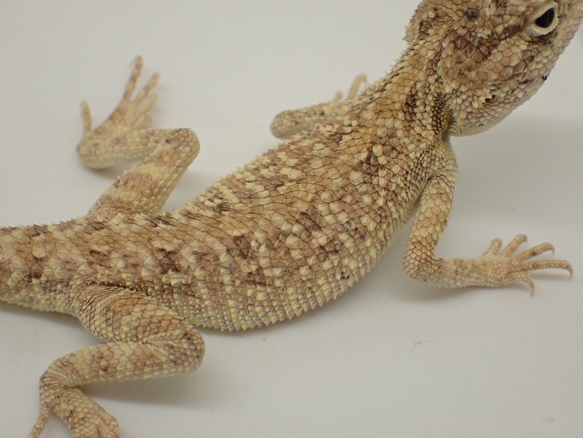 LINE_ALBUM_20240418_240422_36