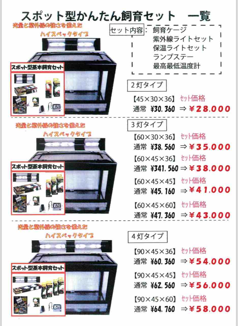 リクガメ　ケージ　飼育セット　バラ売り不可 ハチクラサービスデー開催！】リクガメ 在庫紹介！飼育セットと同時