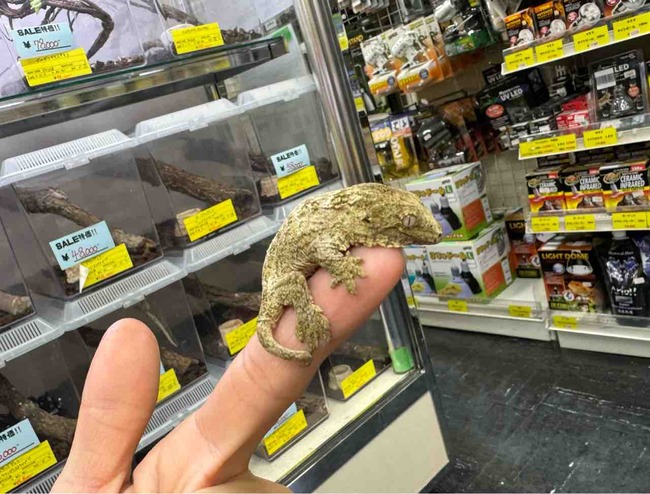 FullSizeRender