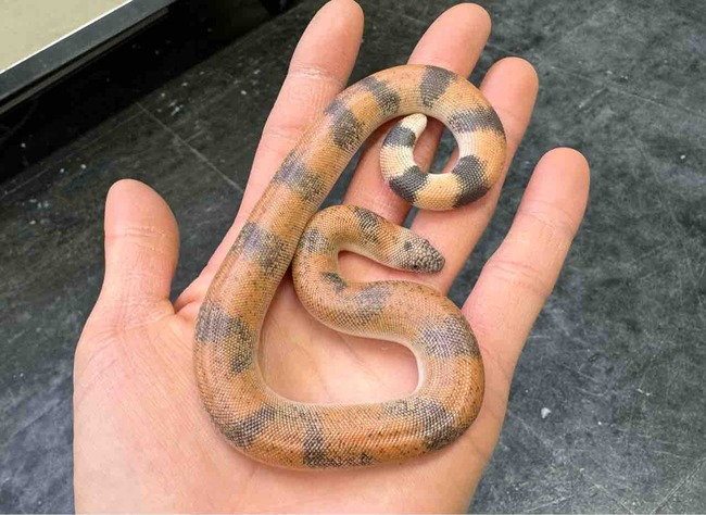 FullSizeRender
