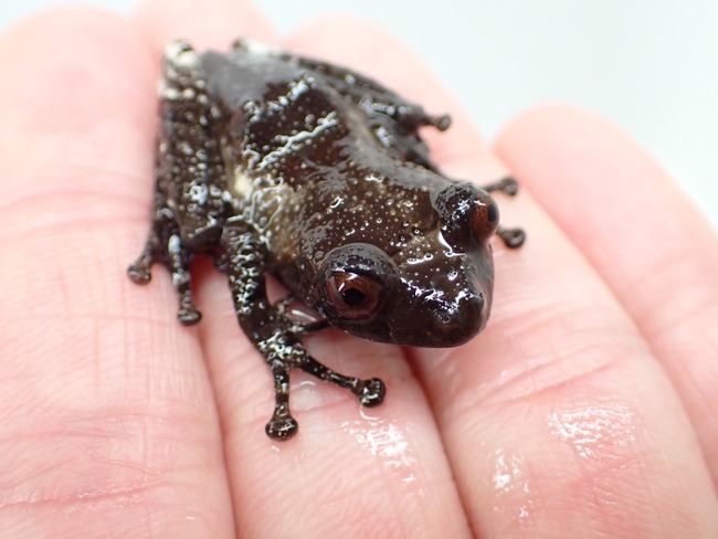 983AB638-73E6-49B2-B233-AD82F98BE525