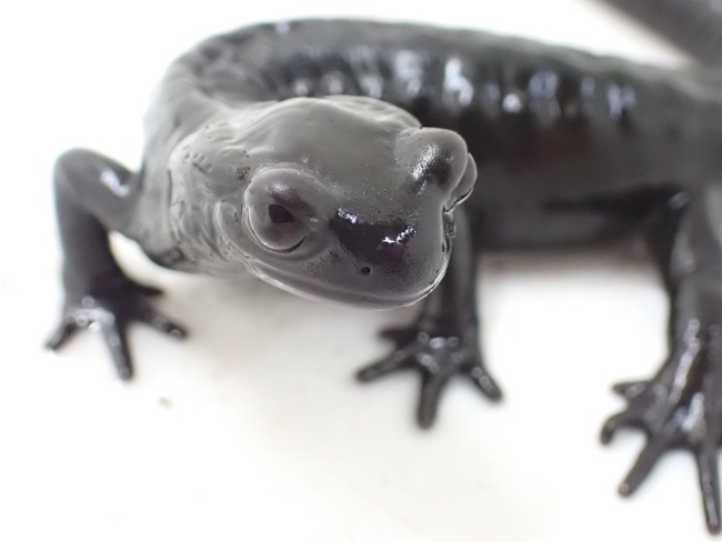 EB1DCE9F-F727-453D-9DE7-EA5F91D87317