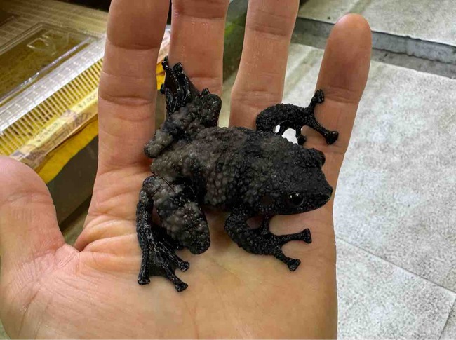 FullSizeRender