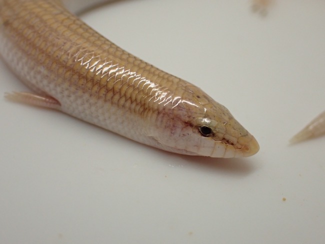 LINE_ALBUM_20240418_240422_8