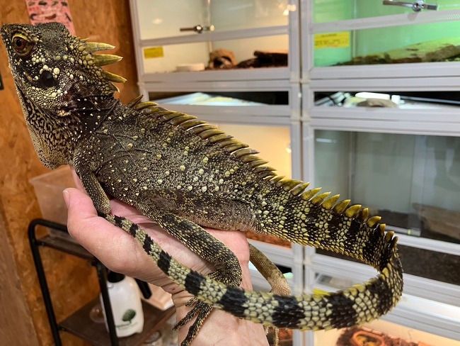 LINE_ALBUM_20240422_240422_6