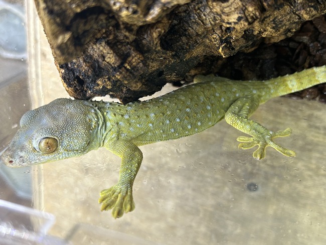 40E4F3AE-04CD-463F-84DF-D382CC469962